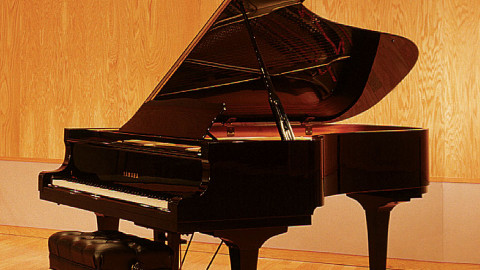 Catamount-Recording-Studio-Grand-Piano