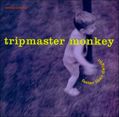 TripMaster Monkey - Catamount Studios